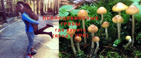 спайс Балабаново
