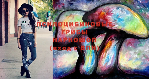 apvp Беломорск